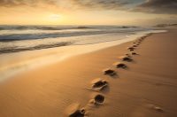Image of footprint